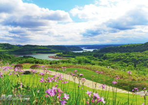 探索旅游景區(qū)建設管理新路徑 創(chuàng)新旅行社服務網(wǎng)點與旅游招徠模式