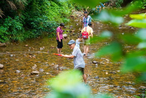 景區運營推廣的隱形盲區 被忽視的游覽過程管理